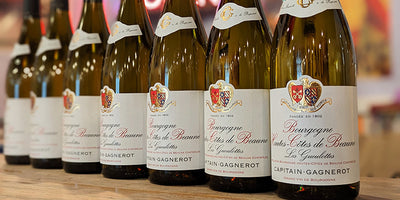 Enchanting, Sophisticated White Burgundy: Capitain Gagnerot Hautes Cotes de Beaune 'Les Guelottes'