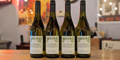 Wonderful White Wine Value: 2022 Duffour Cotes de Gascogne Blanc