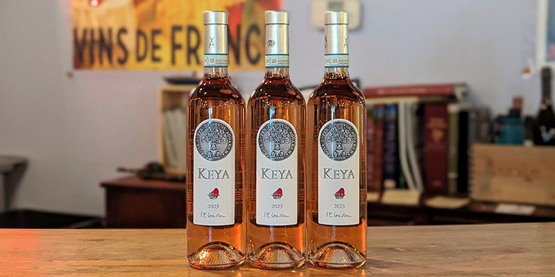 Beautiful Dry Rose: 2023 Guerrieri Rizzardi Keya Chiaretto