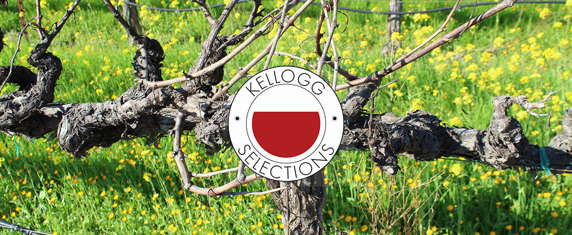 Kellogg Selections Super Saturday Wine Tasting - Asheville, NC