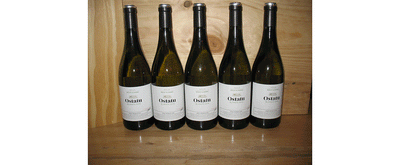 2013 Ostatu Rioja Blanco