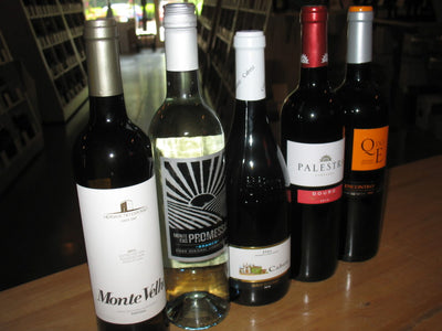 545 Wine Tasting - Pumped for Portuguese Wines