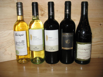 New Arrival Wines from Italy and France