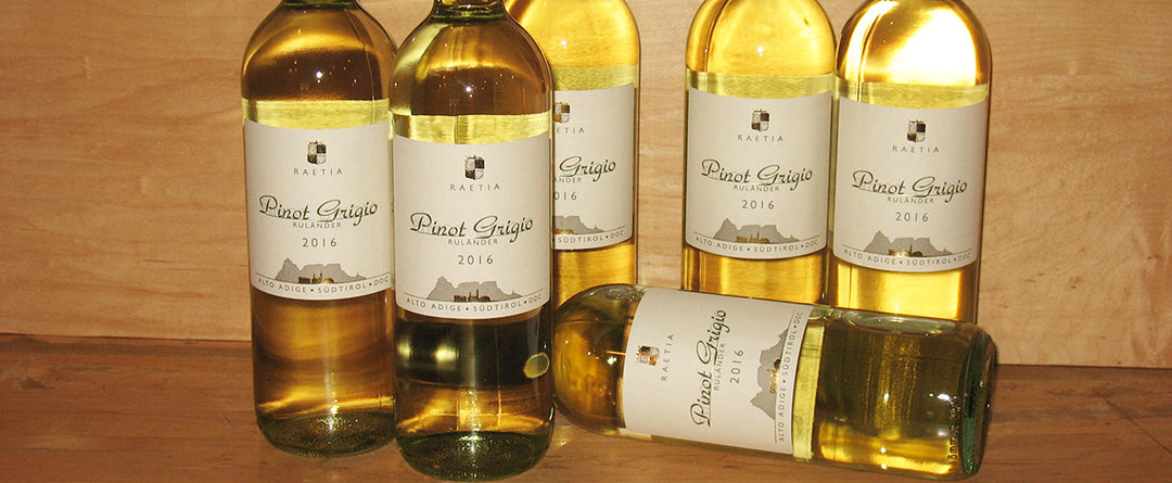 Best Pinot Grigio value in the world at Table Wine in Asheville, North Carolina.