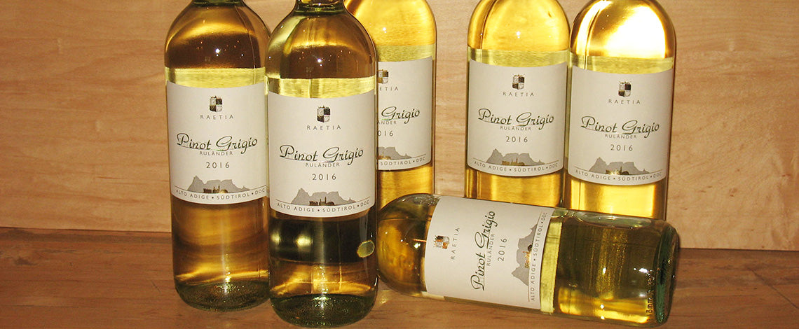 Best Pinot Grigio value in the world at Table Wine in Asheville, North Carolina.