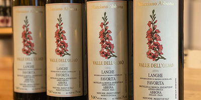 Great Pinot Grigio Alternative: 2020 Abbona Favorita Valle dell'Olmo