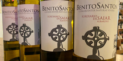 2019 Benito Santos Saiar Albarino