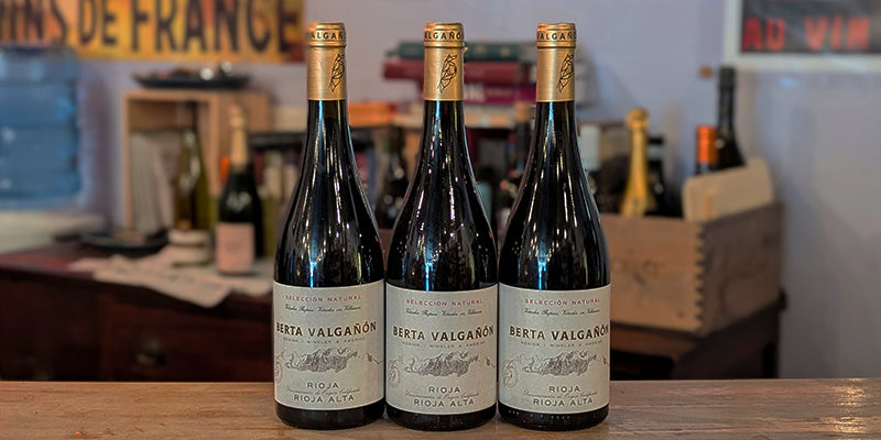 Tiny Production, Soulful and Satisfying Rioja: 2021 Berta Valganon Seleccion Natural