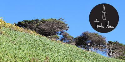 Try Three For Free: Sunshine in a Bottle