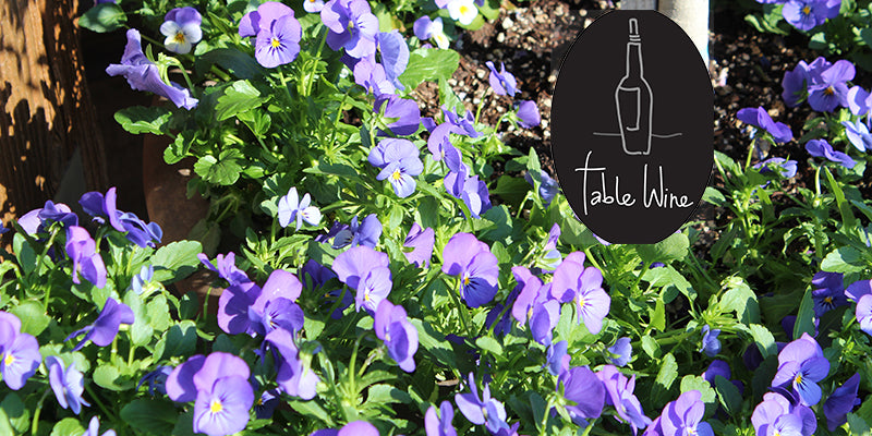 Best free wine tasting - Table Wine - Asheville - North Carolina