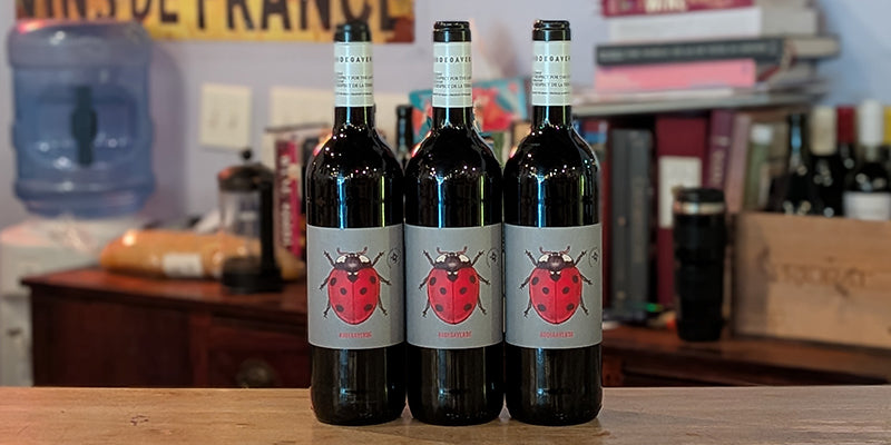 Bodega Verde Tinto 2025