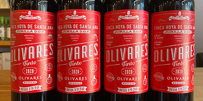 Sensational Spanish Value: 2020 Bodegas Olivares Tinto