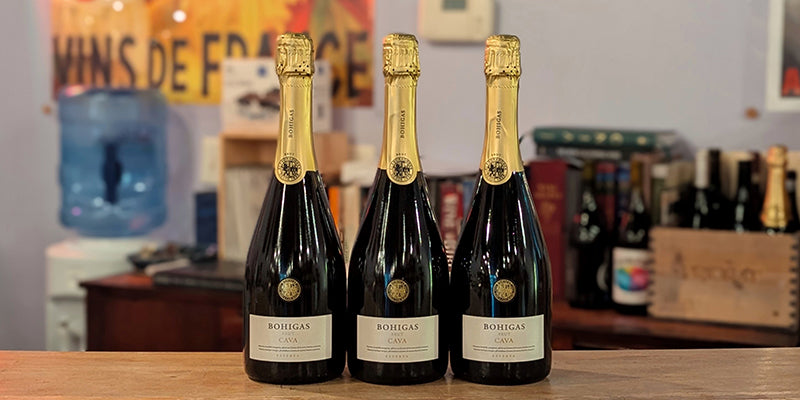 Bohigas Cave Brut Reserve