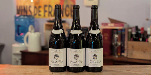 Campet Ste Marie Pinot Noir 2023