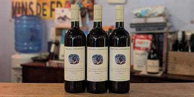 2022 Chiara Condello 'Predappio' Sangiovese