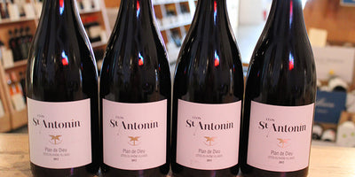 Riveting Rhone from Clos Saint Antonin - 2017 Clos Saint Antonin Plan de Dieu