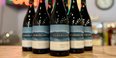 Wonderful Willamette Valley Value: 2021 Cloudline Pinot Noir