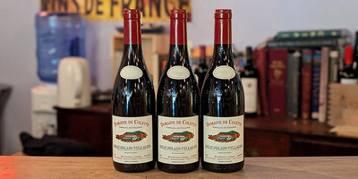 Juicy and Charming French Red: 2023 Domaine de Colette Beaujolais Villages