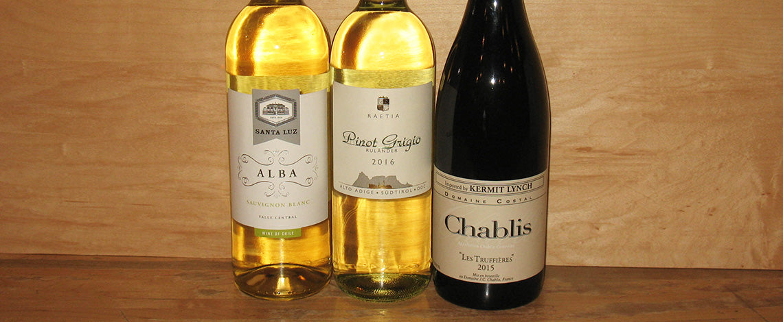 Crisp Summer Whites Wine Tasting at Table Wine in Asheville, North Carolina.