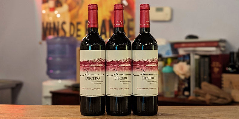 2020 Finca Decero Cabernet Sauvignon 'Remolinos Vineyard'