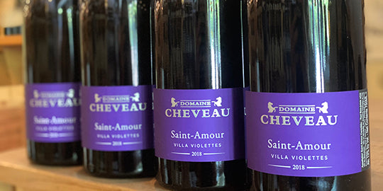 Cru Beaujolais Done Right: 2018 Domaine Cheveau Saint-Amour Villa Violettes