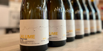 Mysteriously Delicious Spanish White: Dominio do Bibei Ribeiro Blanco 'Lalume'