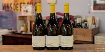 Mysteriously Delicious Spanish White: Dominio do Bibei Ribeiro Blanco 'Lalume'