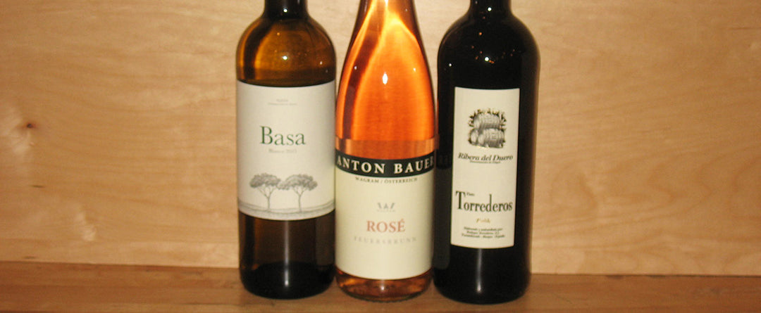 European Value Wines Tasting at Table Wine in Asheville, North Carolina.