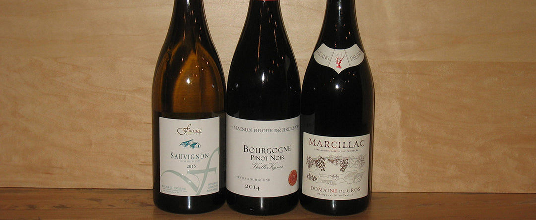 French Wine Tasting at Table Wine in Asheville, NC.