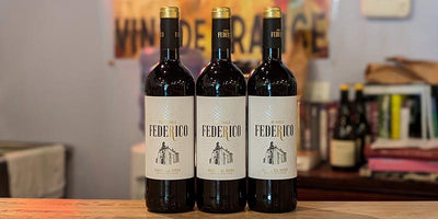 Traditional Ribera del Duero: 2022 Federico Ribera del Duero