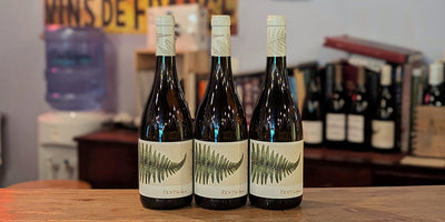 Luscious and Lovely Spanish White: 2024 Fento Albarino