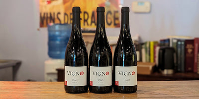 A Ton of Wine for the $$: 2019 Freire Lobo 'Vigno Dao' Tinto