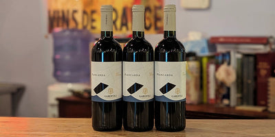 World-Class Montepulciano at a Great Price: Garofoli Rosso Conero Piancarda