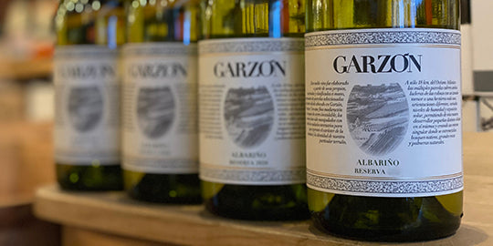 Bodega Garzon Albarino 2021