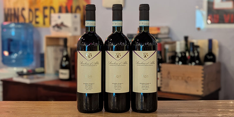 2019 Gianluigia Lano Barbera d'Alba