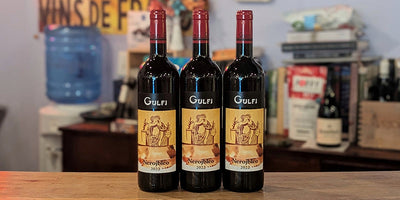 2022 Gulfi Nero d'Avola Nerojbleo