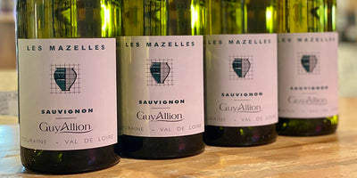 2019 Guy Allion 'Les Mazelles' Sauvignon Blanc