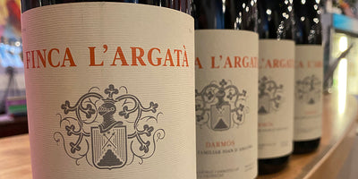 Chateau Rayas of Spain - 2016 Joan d'Anguera Finca L'Argata