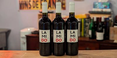 Ripe, Plump, and Delicious: L'Amido Merlot