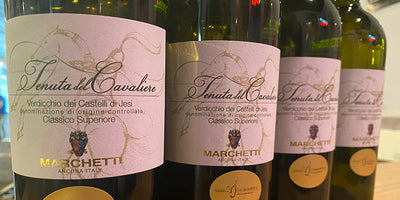 Vivacious Verdicchio Value: 2020 Marchetti Verdicchio Tenuta del Cavaliere