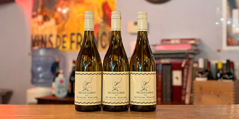 Micro Cosme Blanc 2025