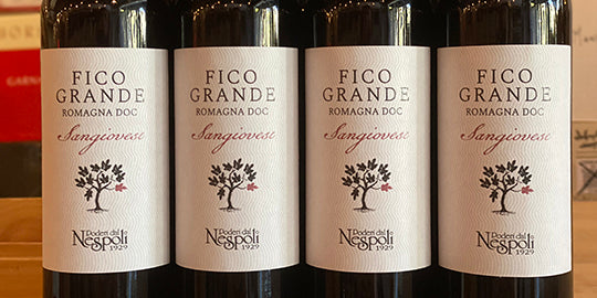 Poderi del Nespoli Sangiovese Fico Grande