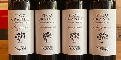 Sangiovese Extreme Value: 2020 Nespoli 'Fico Grande' Sangiovese