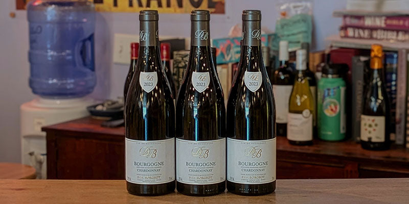 2023 Domaine Borgeot Bourgogne Blanc