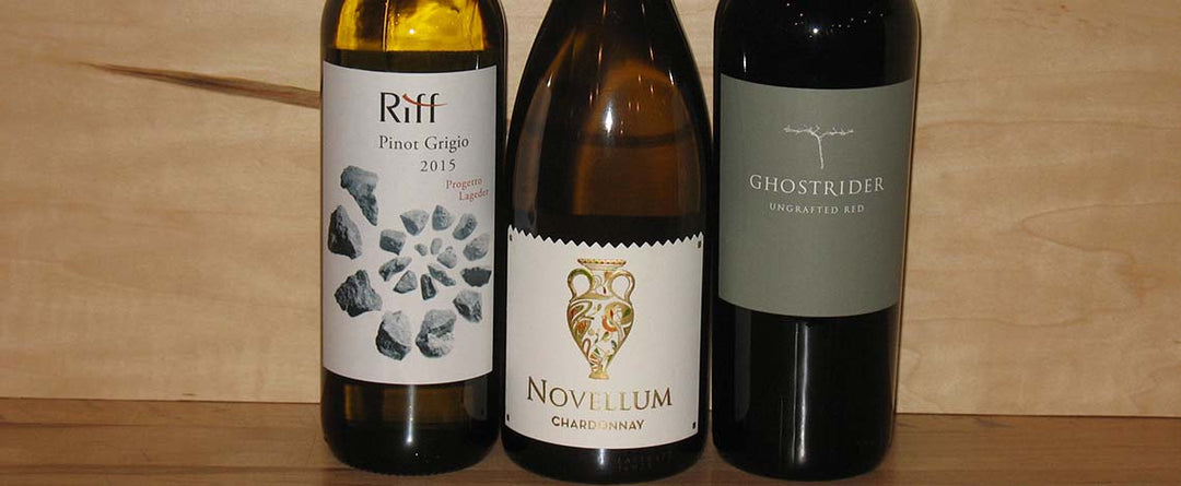 Taste some perfect house wines at Table Wine in Asheville, NC.