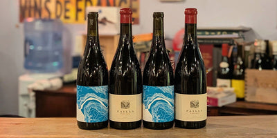 A Pair of Perfect Thanksgiving Pinot Noirs