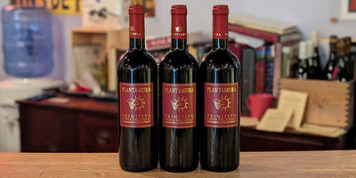 2022 Plantamura Primitivo 'Parco Lago'