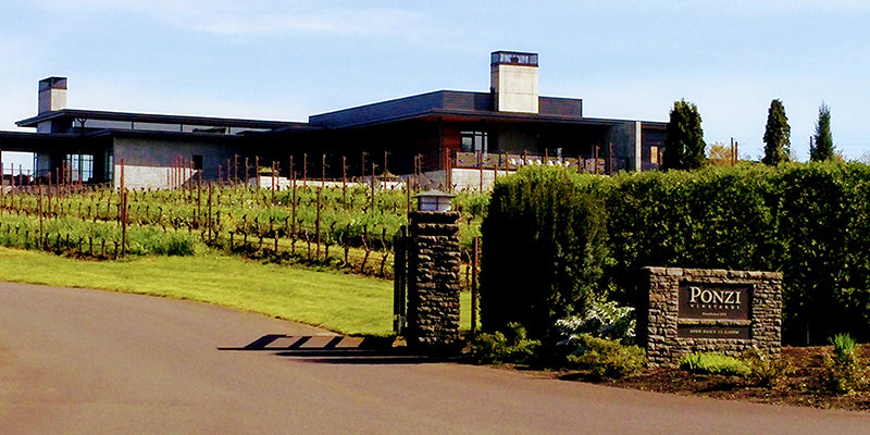 Ponzi Winery