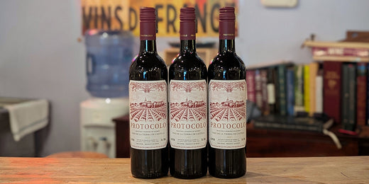 Protocolo Tinto