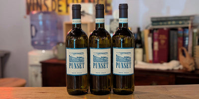 2024 Punset Langhe Bianco